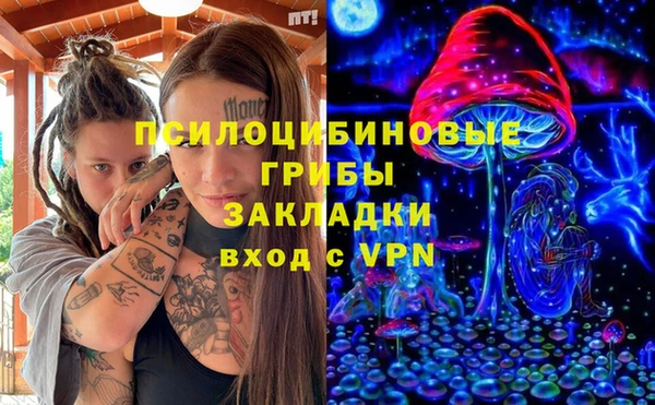 ALPHA-PVP Ельня