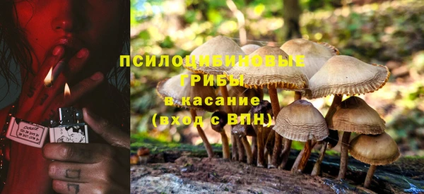 спайс Елабуга