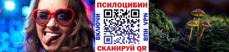 Купить где  Астрахань  Псилоцибиновые грибы Magic Shrooms 